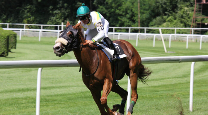 Conwy becomes host county for Wales Rally GB